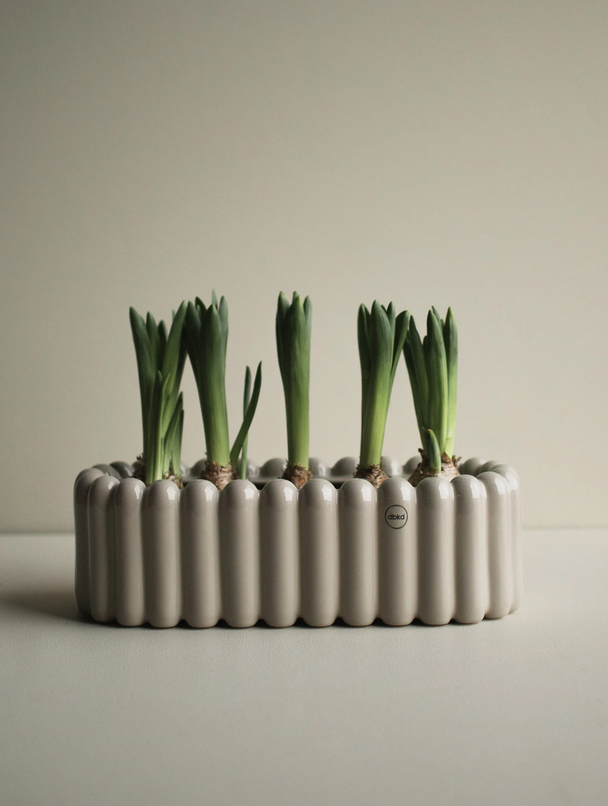 Blumentopf "Mist" - Oval