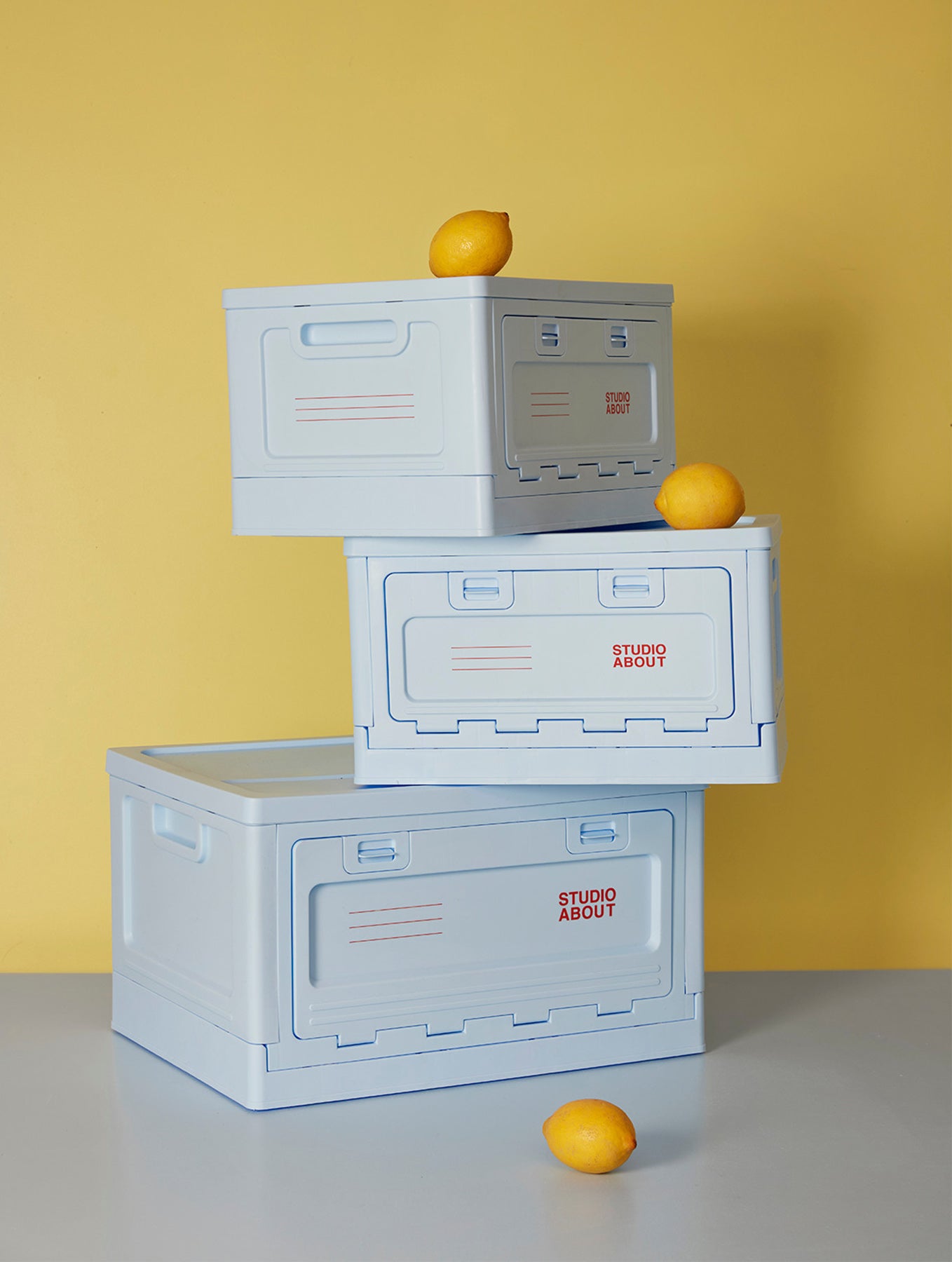 Aufbewahrungsbox - Medium