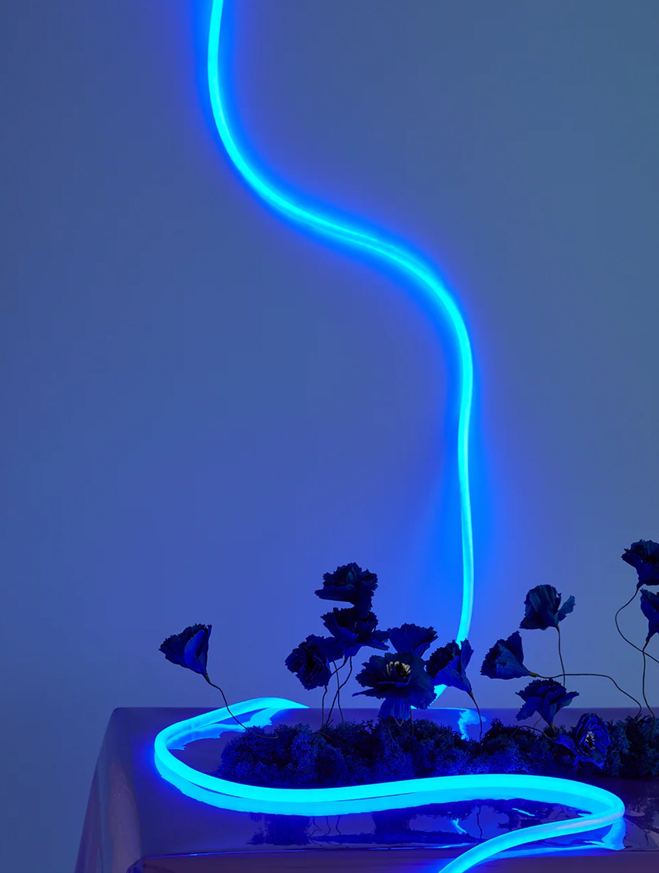 Flex Tube - 5 Meter - Blau