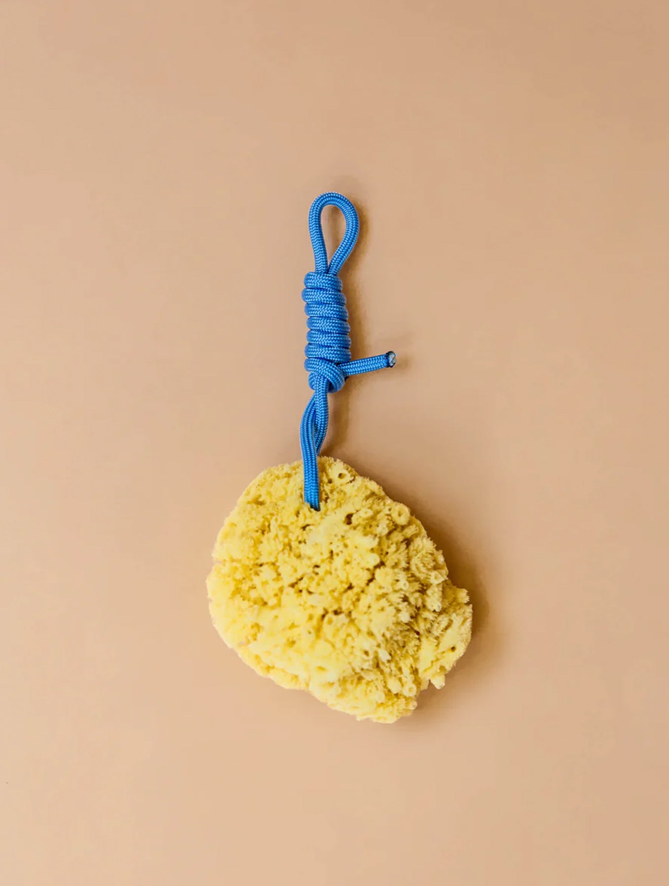 Mediterraner Naturschwamm