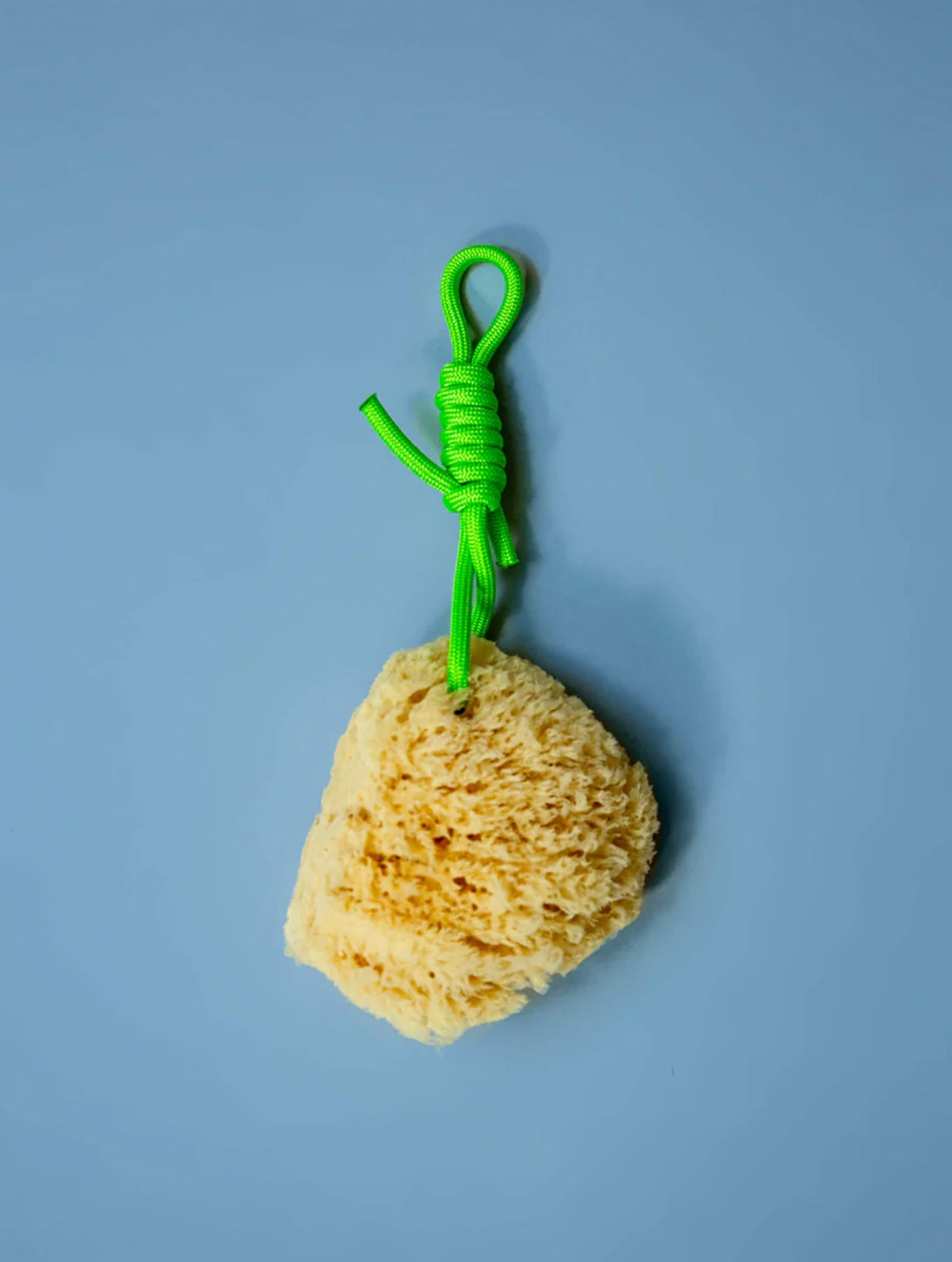 Mediterraner Naturschwamm