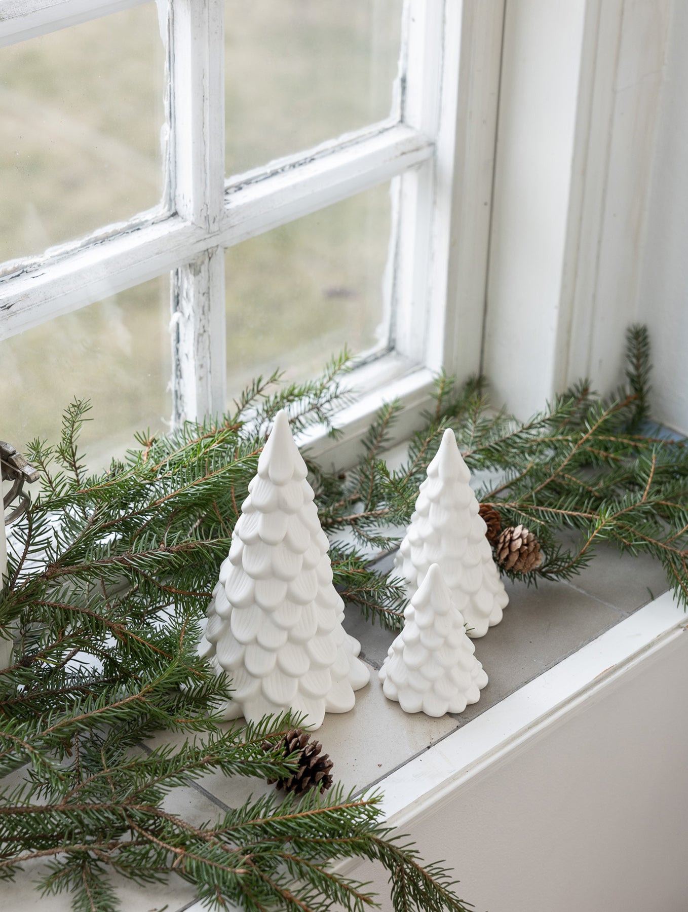 Tannenbaum "Norrskog"