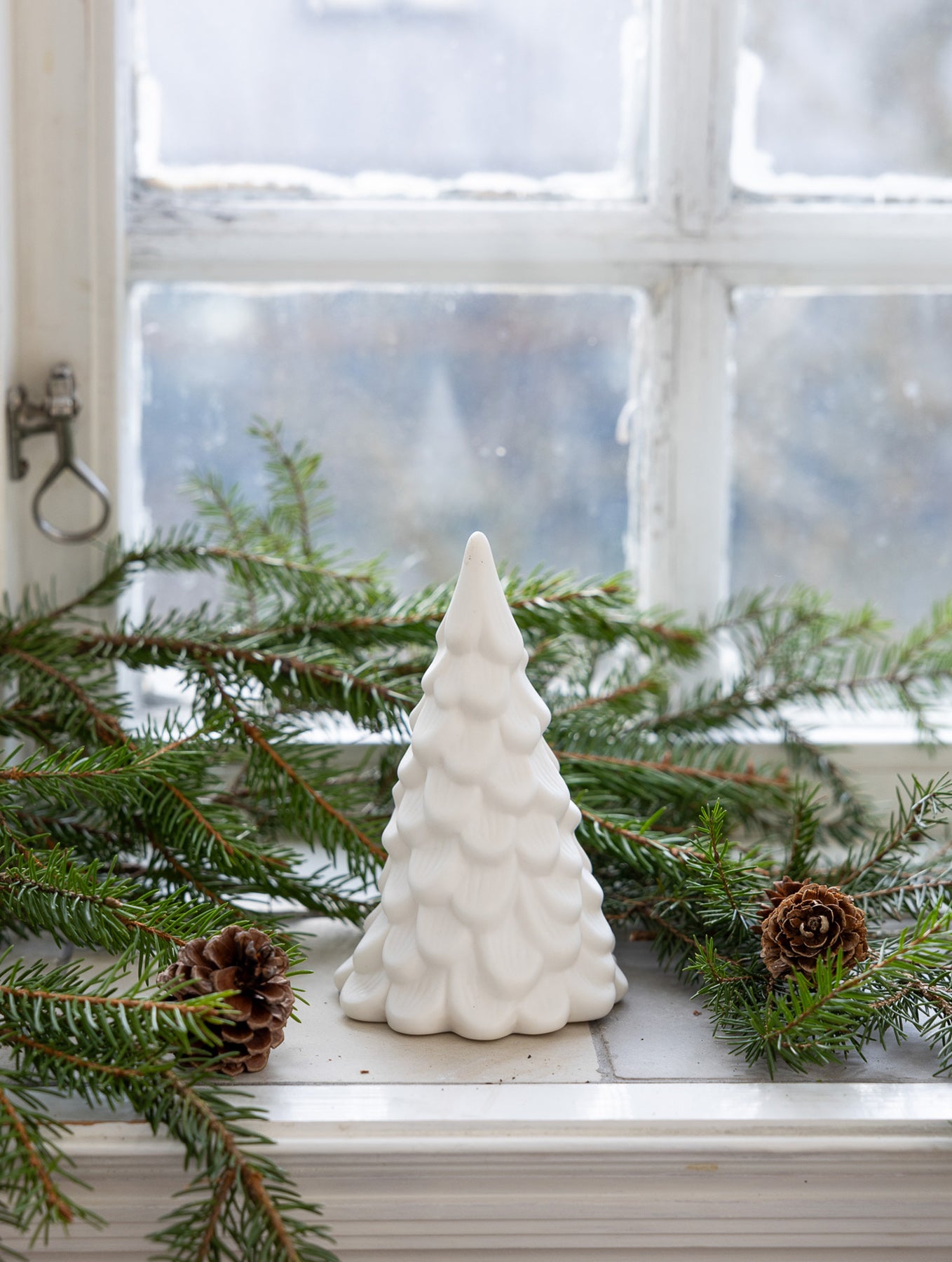 Tannenbaum "Norrskog"