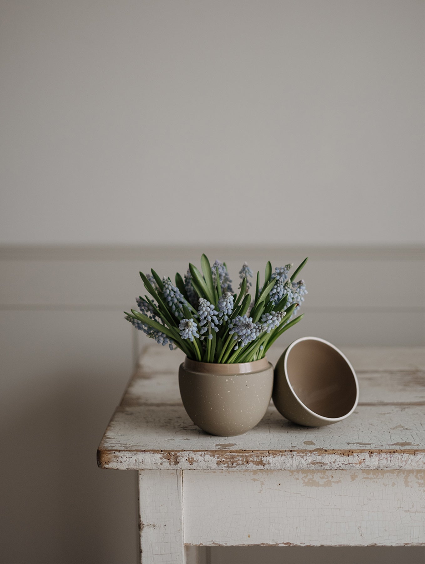 Bonbonniere - Sand/Shell