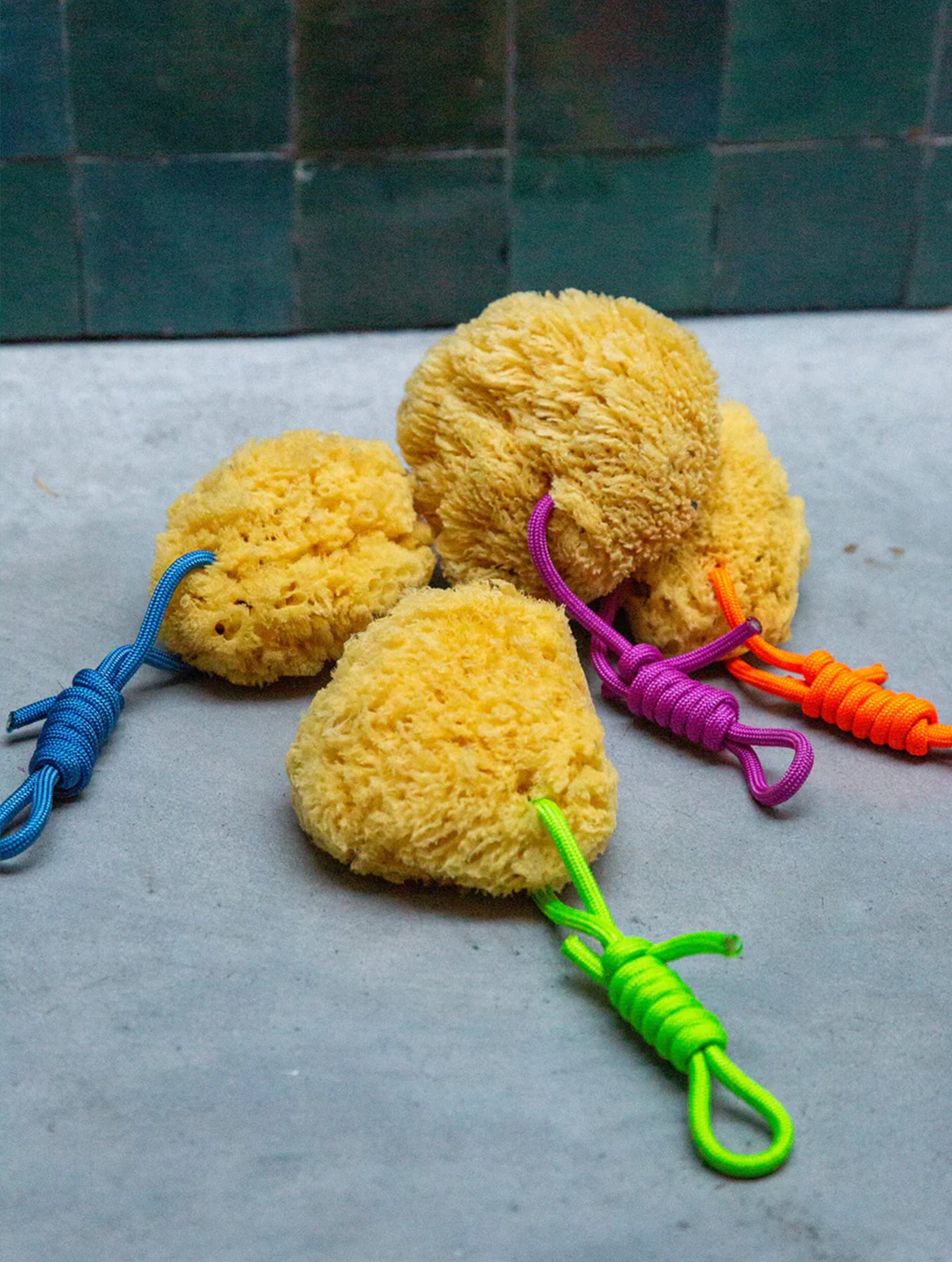 Mediterraner Naturschwamm