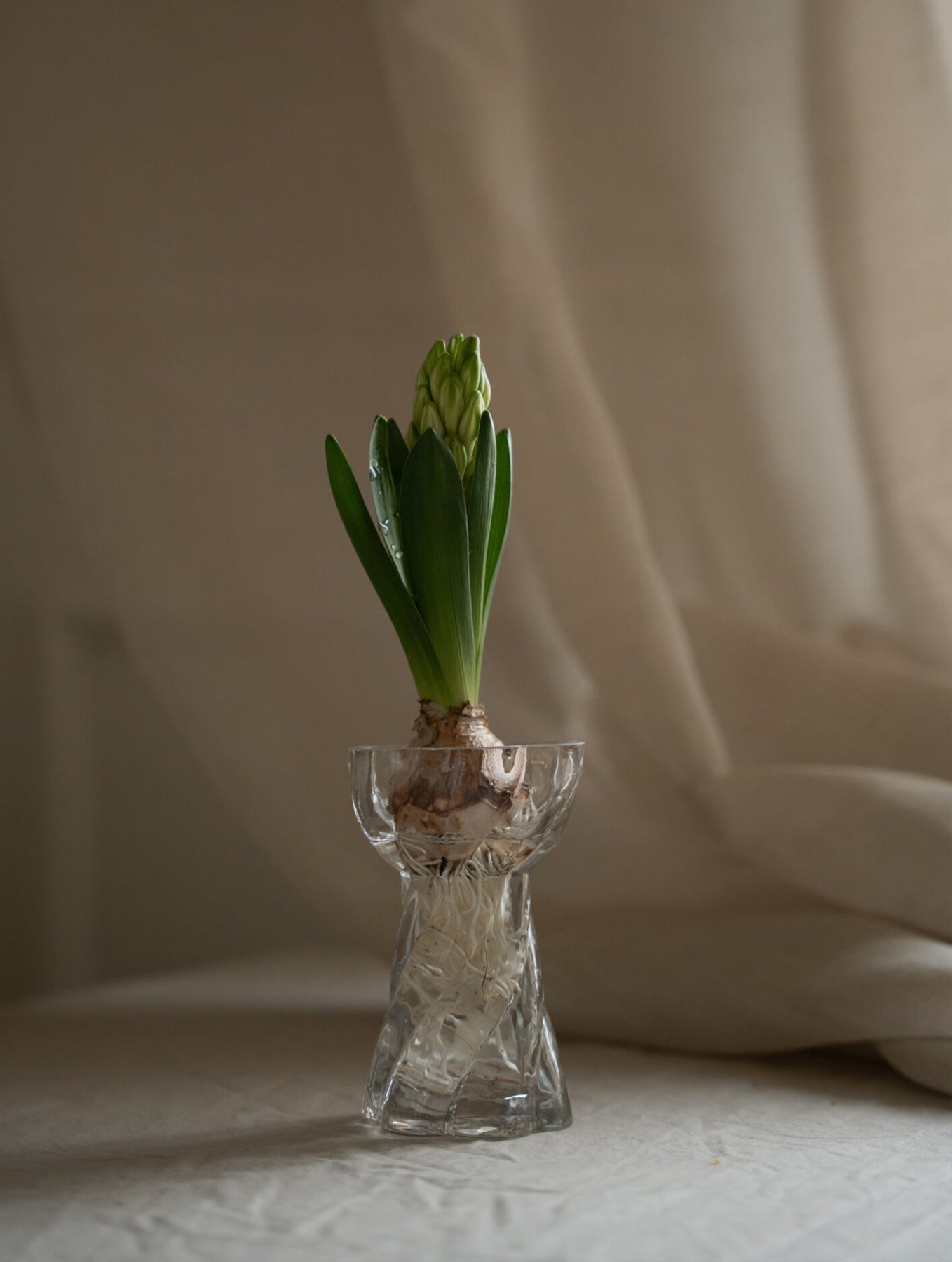 "Twist Bulb" Vase