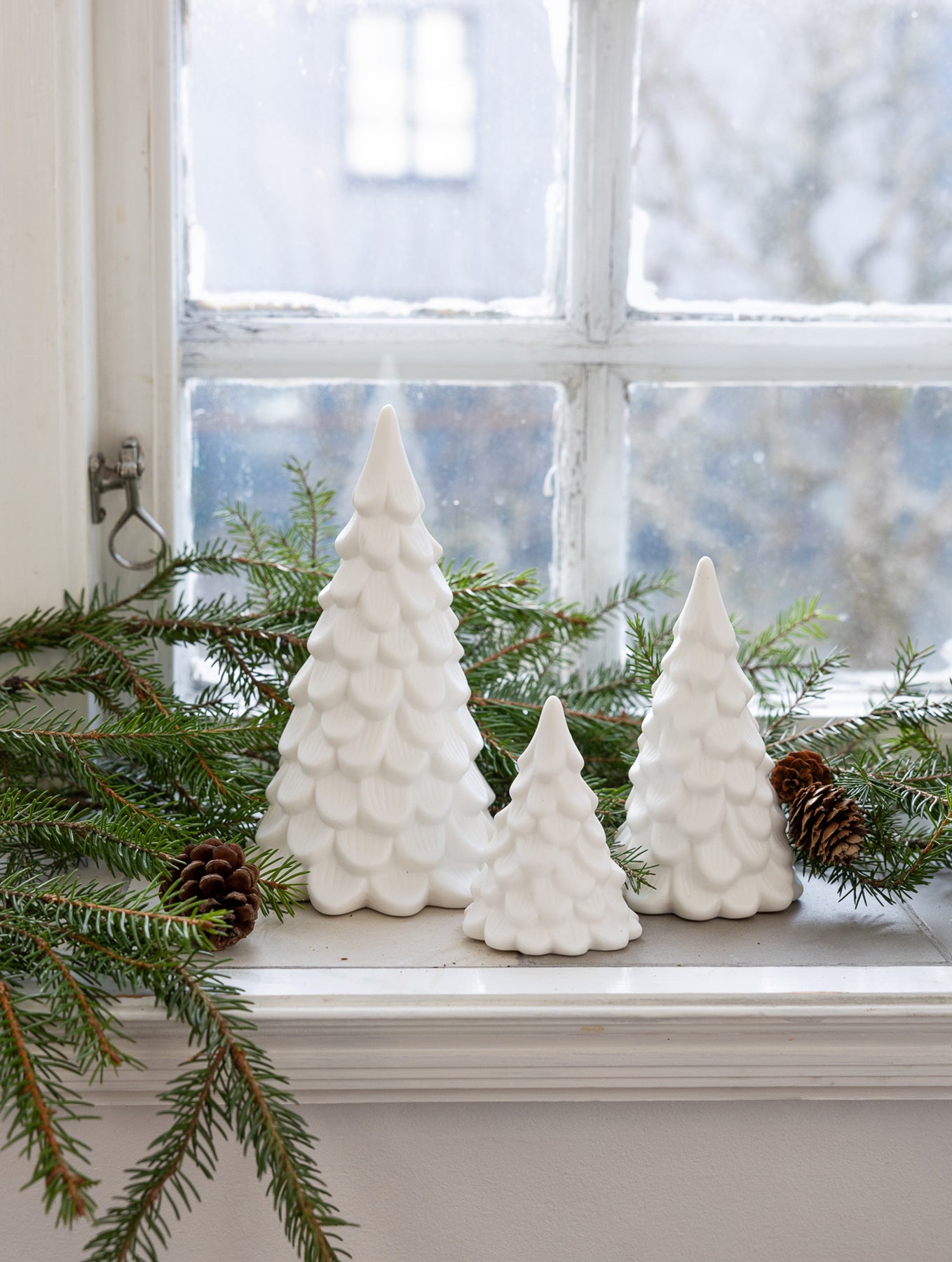 Tannenbaum "Norrskog"