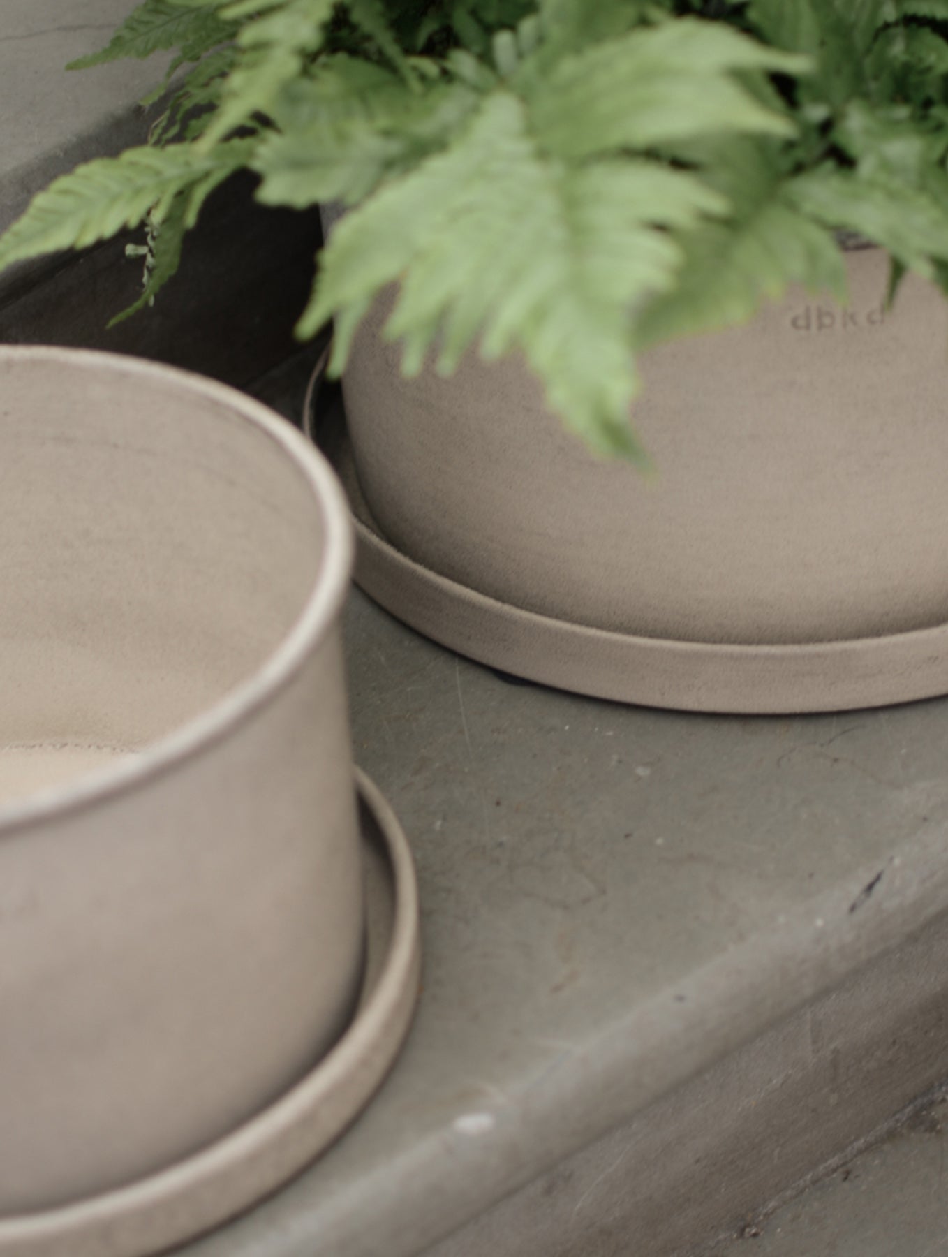 "Plant" Bowl - 2er-Set