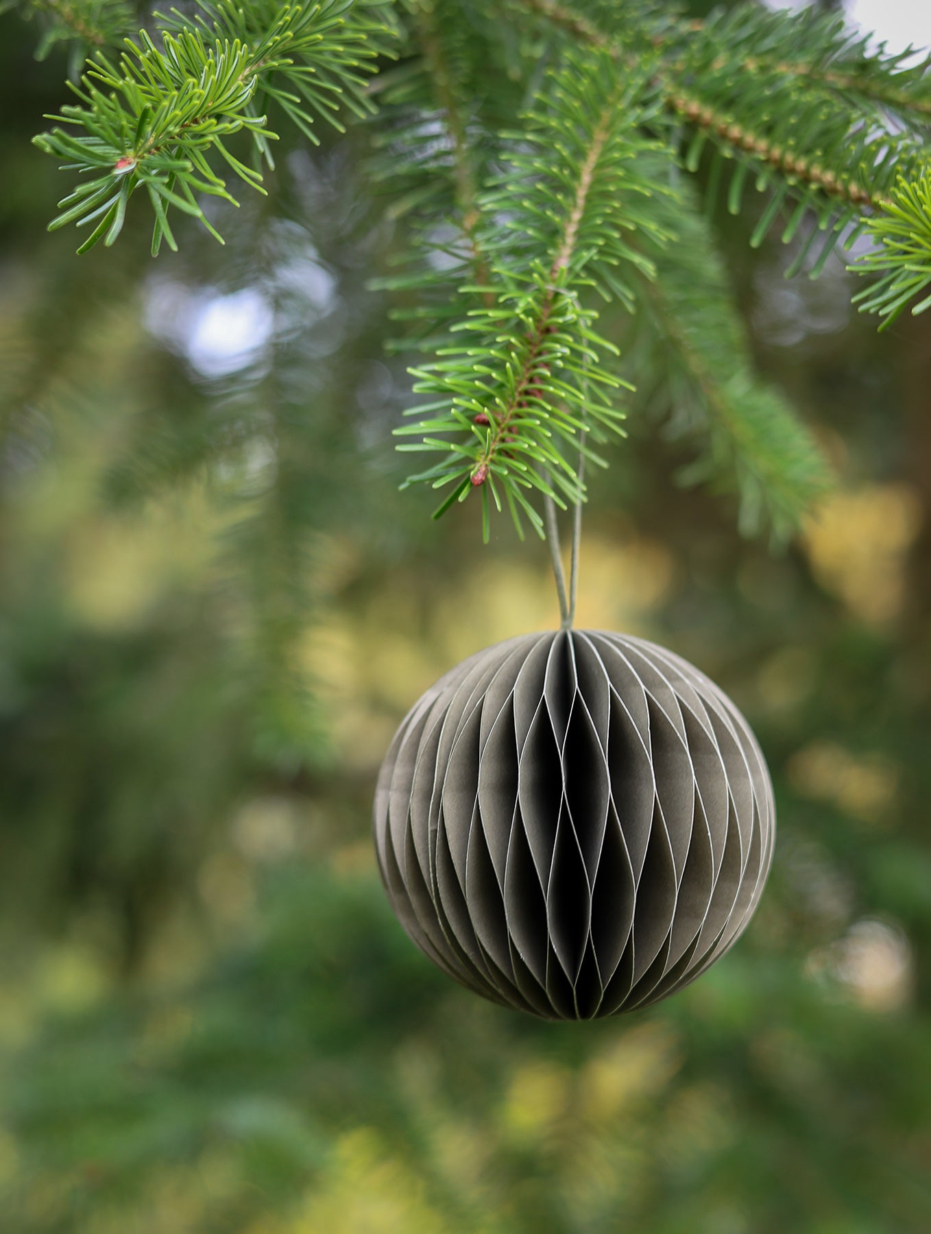 Weihnachtsanhänger - Thyme