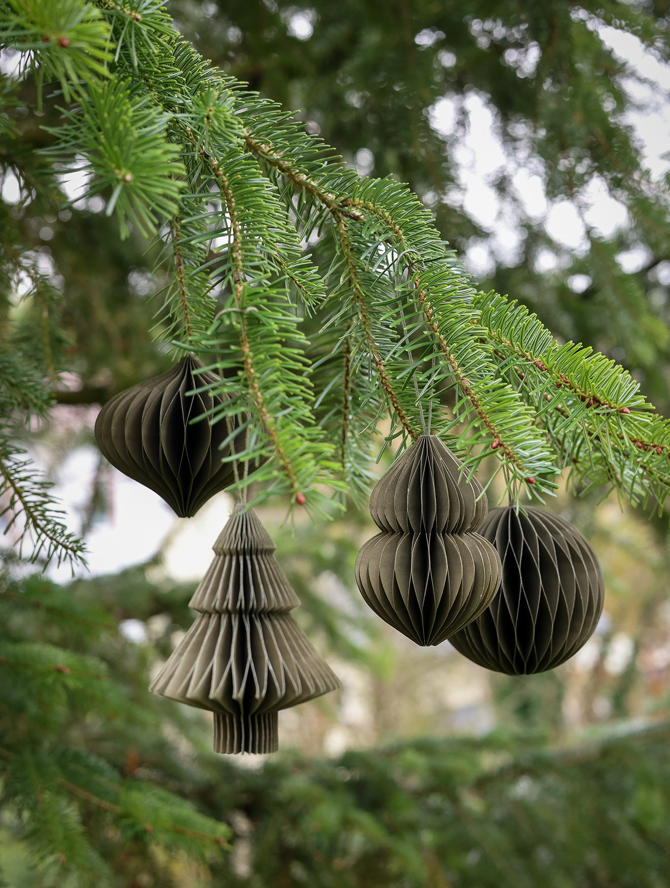 Weihnachtsanhänger - Thyme